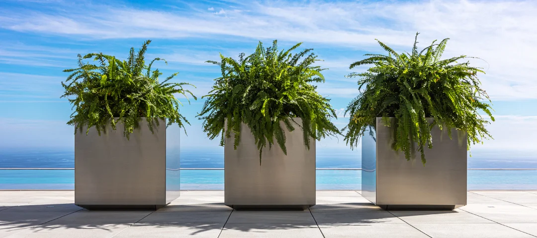 stainless steel planters