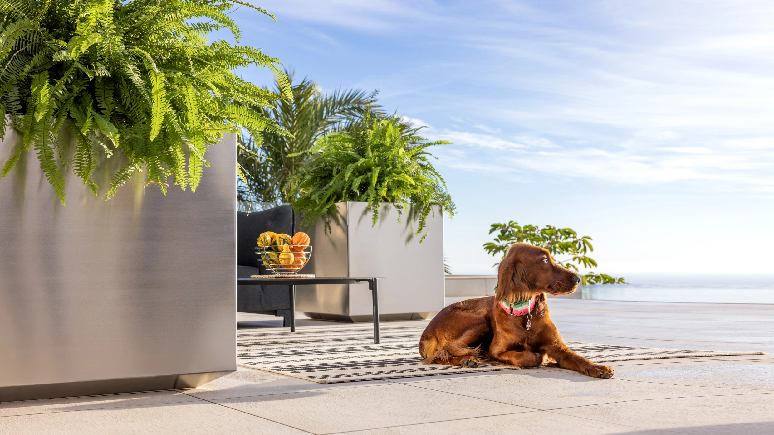 stainless steel planter box