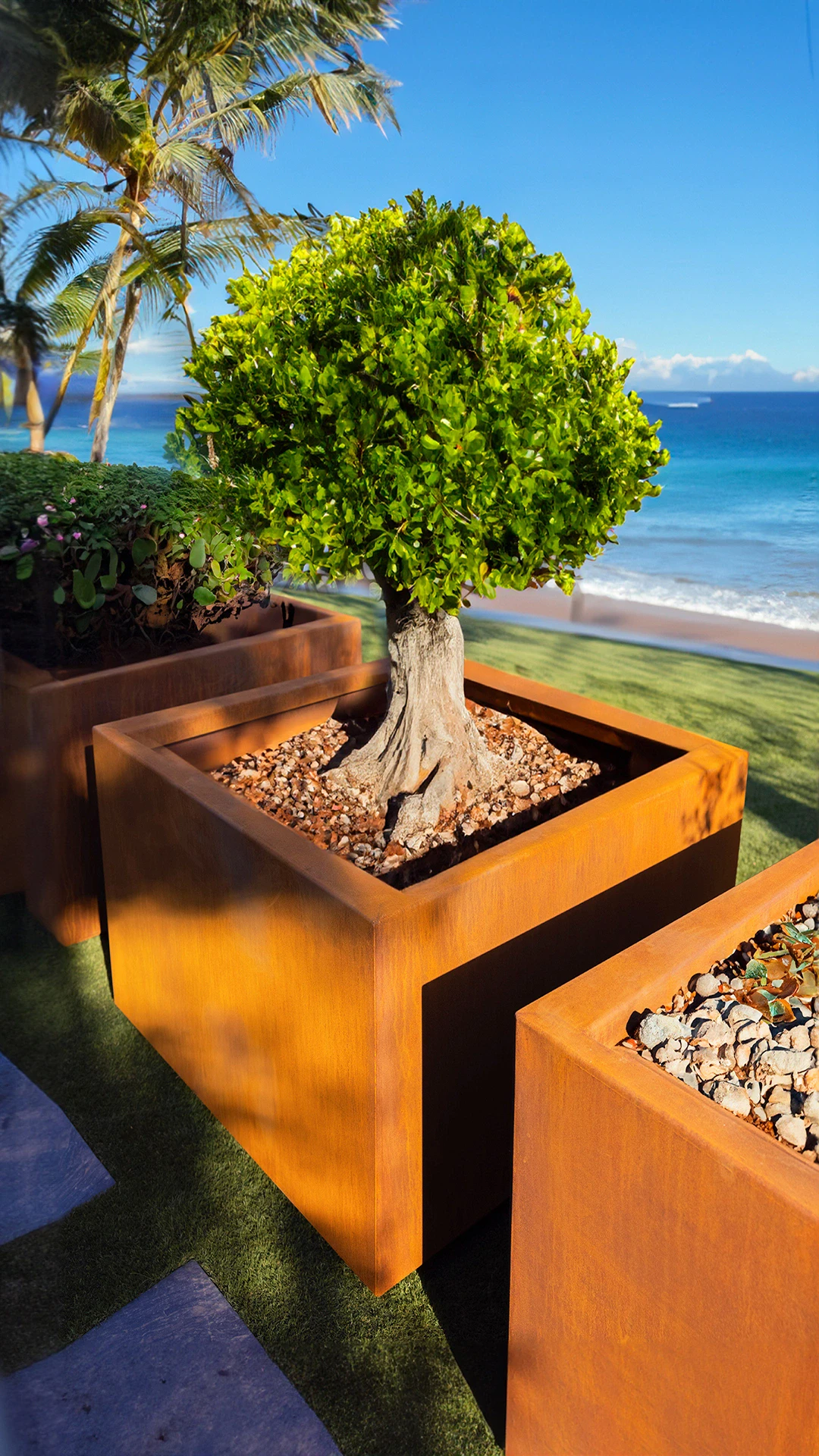 Large Planters for Trees