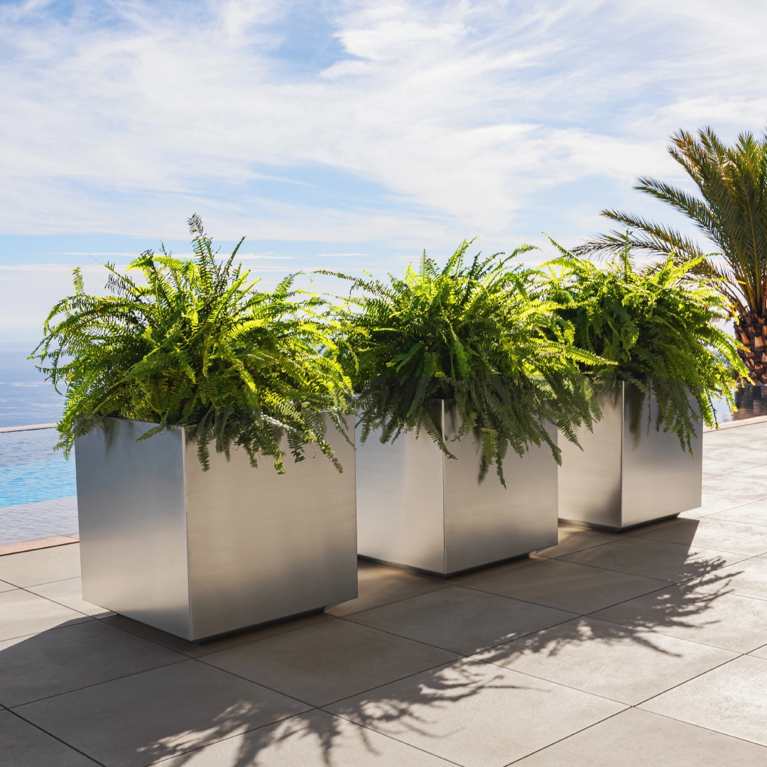 Stainless Steel Planters: Pure Design | KUBIK